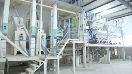 “碰網(wǎng)觸電”拓銷(xiāo)路，黃陂大米借力電商升級(jí)設(shè)備銷(xiāo)售